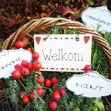 Bed & Breakfast Al Chiare 4*