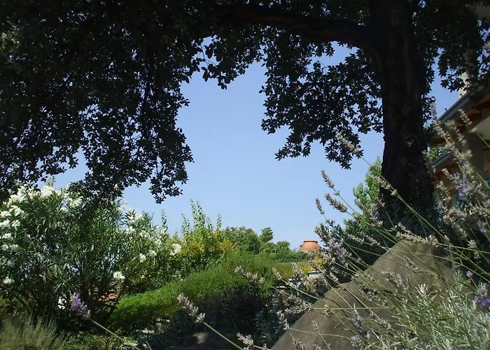 Bed & Breakfast Al Chiare