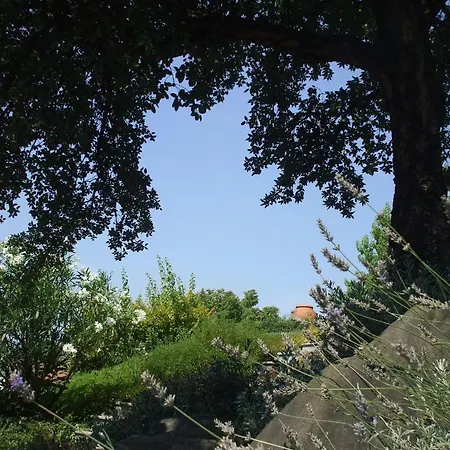 לינה וארוחת בוקר Al Chiare