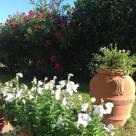 Bed & Breakfast Al Chiare Oggiono