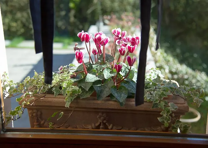 Al Chiare לינה וארוחת בוקר 4*