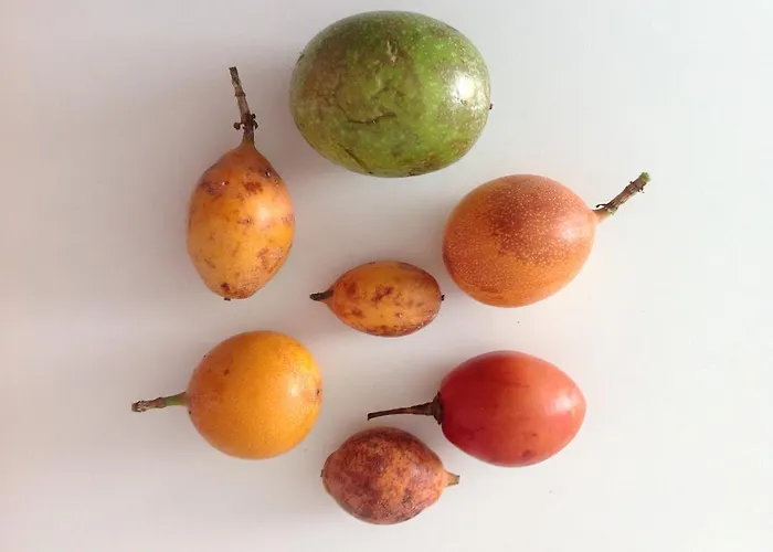 Al Chiare לינה וארוחת בוקר Oggiono