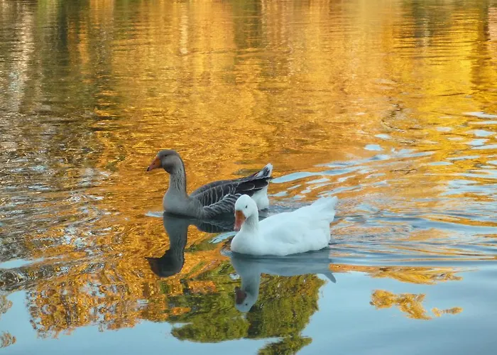 Al Chiare לינה וארוחת בוקר 4*