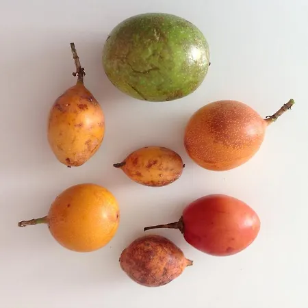 Al Chiare فندق مبيت وإفطار Oggiono